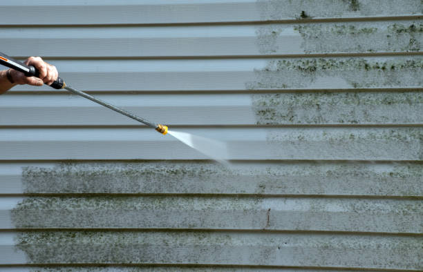 Best Local Pressure Washing Services  in Lake Magdalene, FL