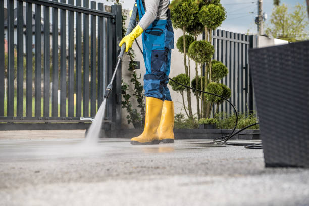 Best Fence Pressure Washing  in Lake Magdalene, FL