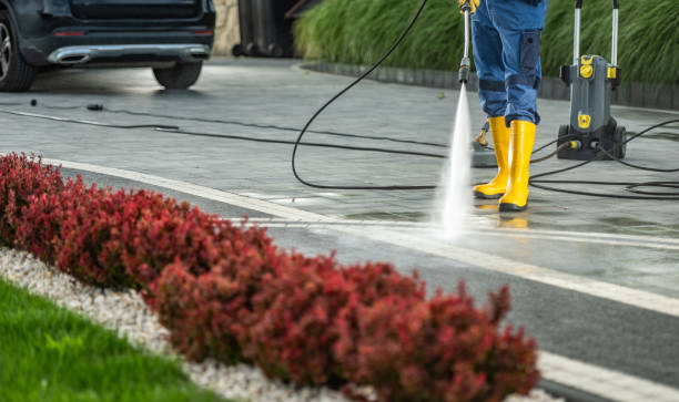 Best Deck Pressure Washing  in Lake Magdalene, FL