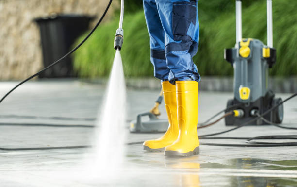 Best Local Pressure Washing Services  in Lake Magdalene, FL