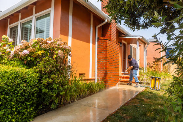  Lake Magdalene, FL Pressure Washing Pros