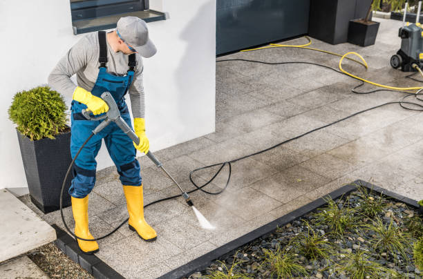 Best House Pressure Washing  in Lake Magdalene, FL