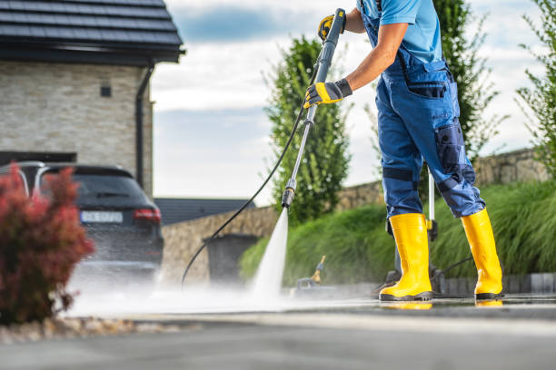 Best Roof Pressure Washing  in Lake Magdalene, FL