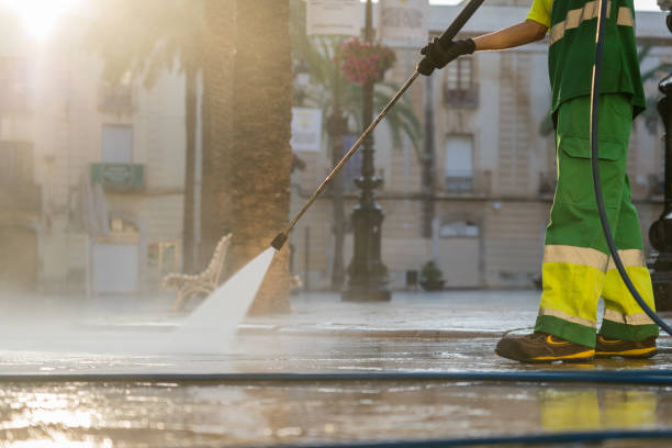 Best Roof Pressure Washing  in Lake Magdalene, FL