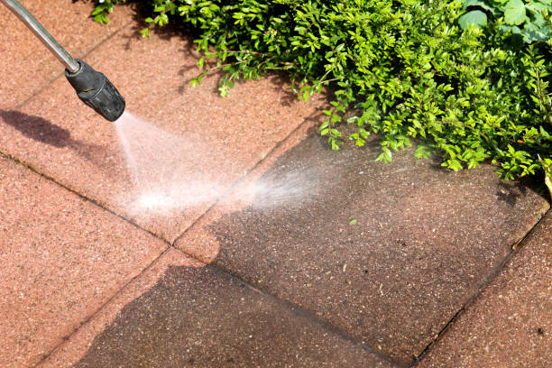 Best Pressure Washing Cost  in Lake Magdalene, FL